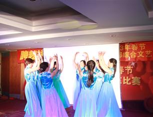 跨越祥和，超越自我—2013春節(jié)聯(lián)歡--財(cái)務(wù)處